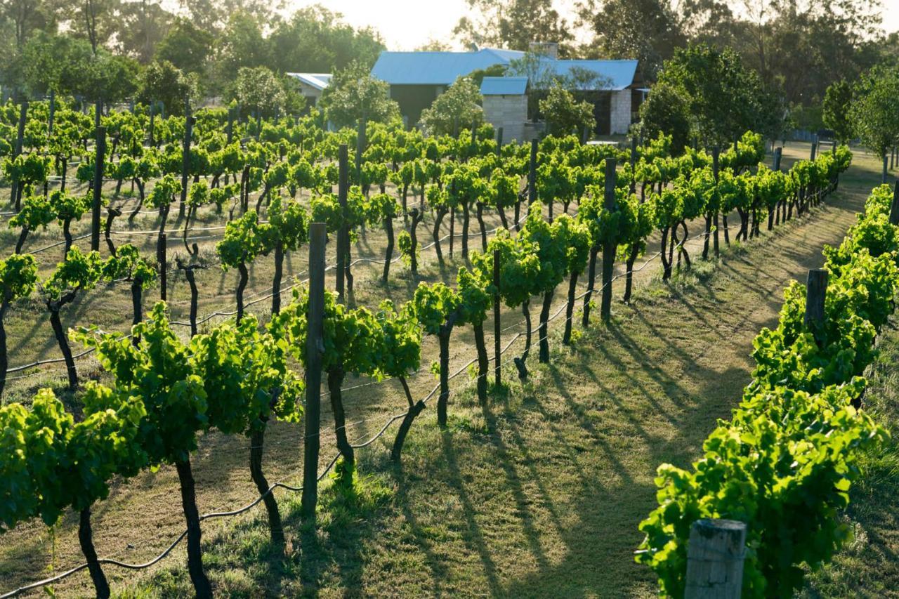 بوكولبن Thistle Hill Guesthouse - Walk To Many Wineries And Restaurants المظهر الخارجي الصورة