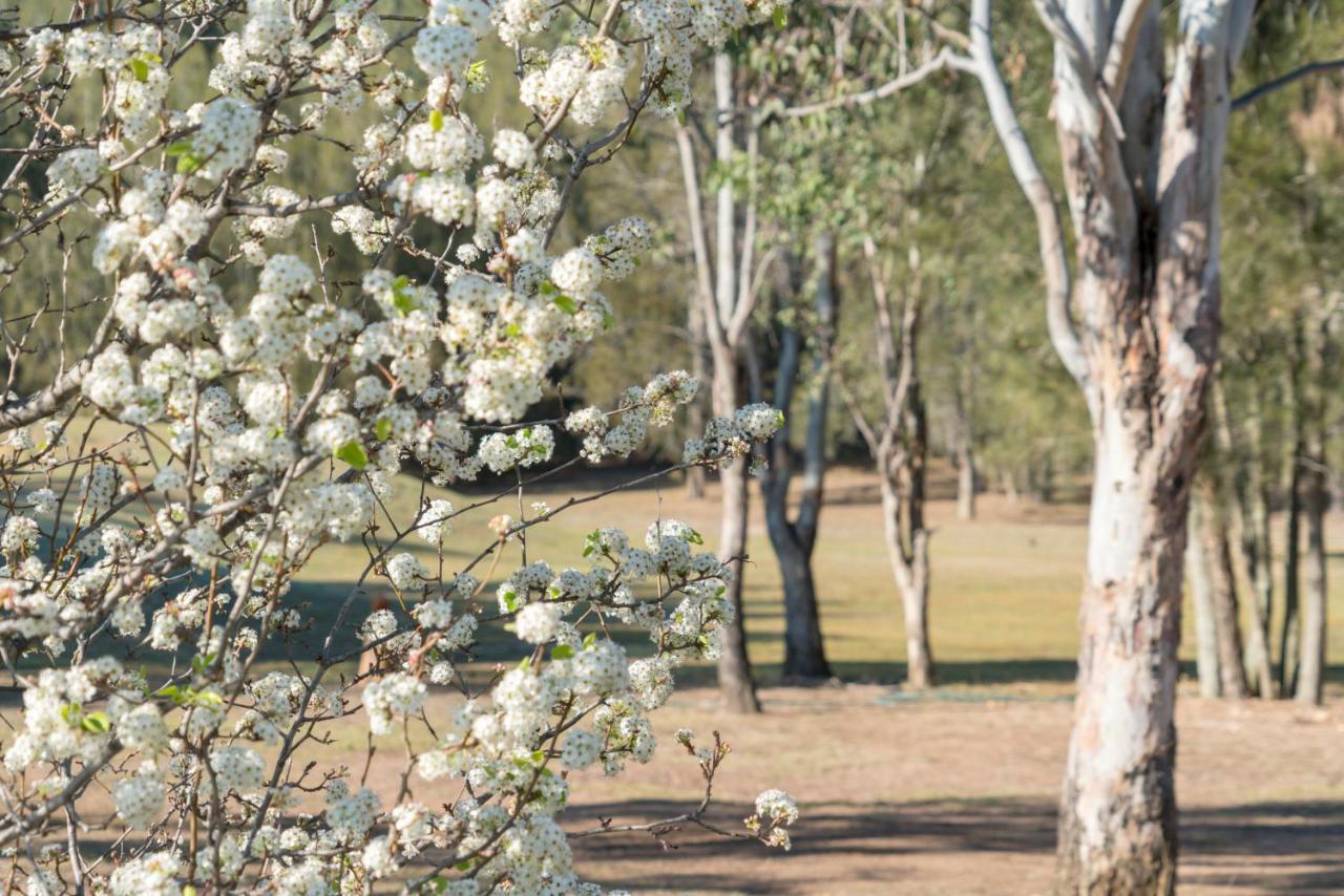 بوكولبن Thistle Hill Guesthouse - Walk To Many Wineries And Restaurants المظهر الخارجي الصورة