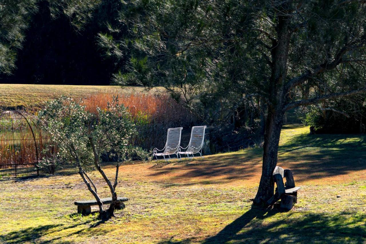 بوكولبن Thistle Hill Guesthouse - Walk To Many Wineries And Restaurants المظهر الخارجي الصورة