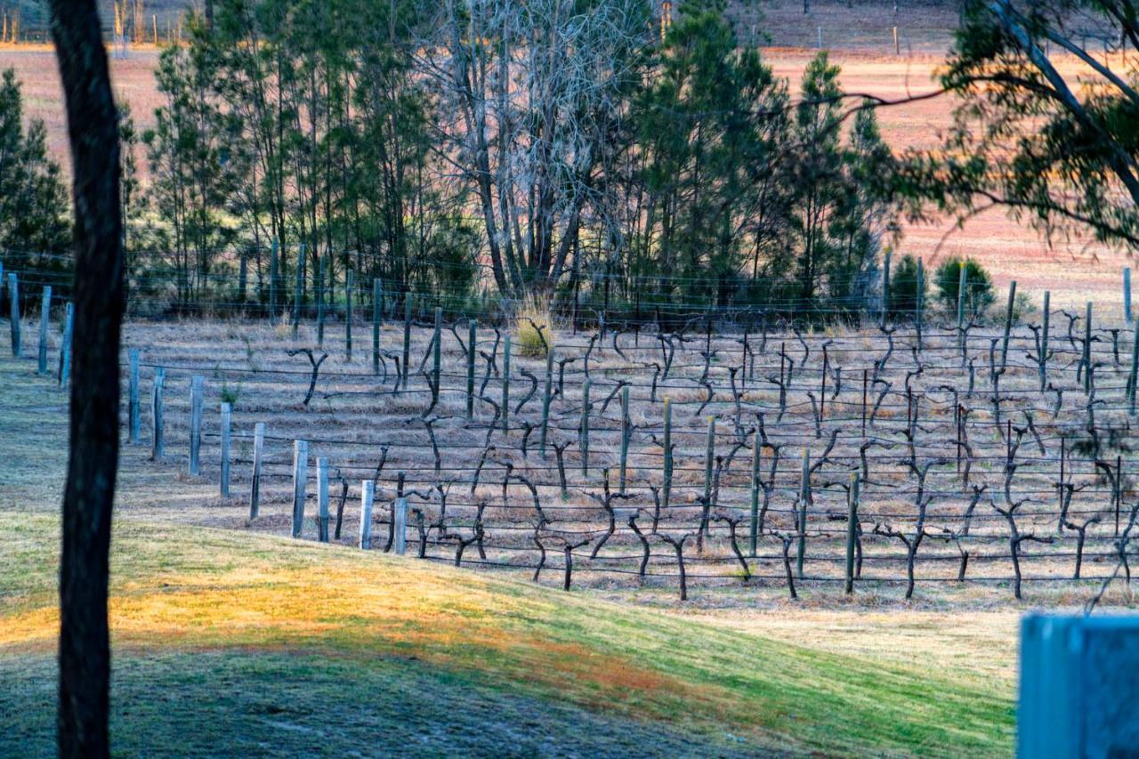 بوكولبن Thistle Hill Guesthouse - Walk To Many Wineries And Restaurants المظهر الخارجي الصورة