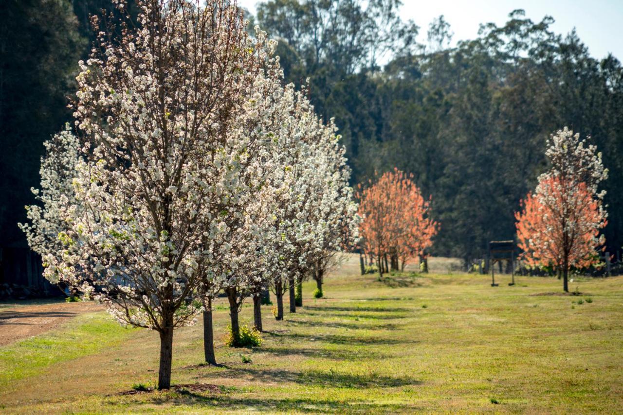 بوكولبن Thistle Hill Guesthouse - Walk To Many Wineries And Restaurants المظهر الخارجي الصورة