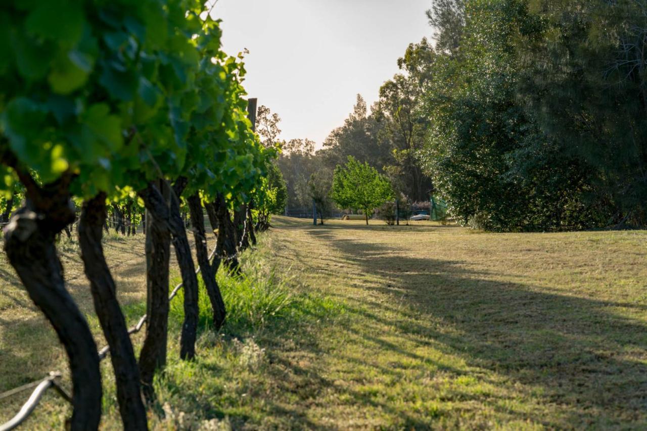 بوكولبن Thistle Hill Guesthouse - Walk To Many Wineries And Restaurants المظهر الخارجي الصورة