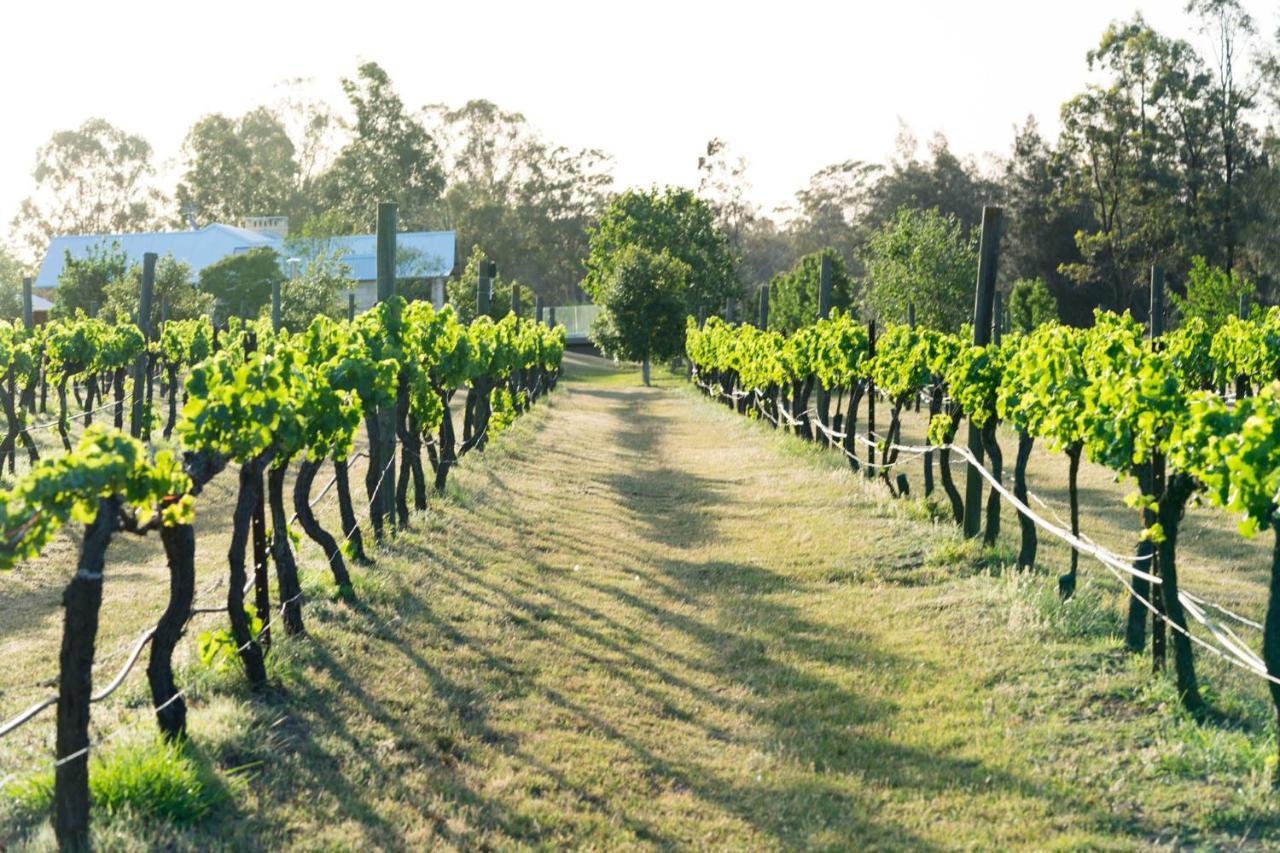 بوكولبن Thistle Hill Guesthouse - Walk To Many Wineries And Restaurants المظهر الخارجي الصورة
